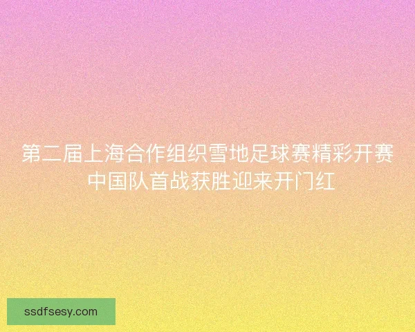 第二届上海合作组织雪地足球赛精彩开赛 中国队首战获胜迎来开门红