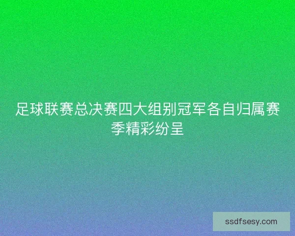 足球联赛总决赛四大组别冠军各自归属赛季精彩纷呈